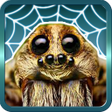 Icon of program: Spider Gagambattle