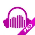 Icon of program: CloudPlayer Pro - music p…