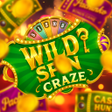 Icon of program: Wild SpinCraze