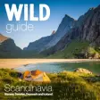 Icon of program: Wild Guide Scandinavia