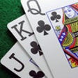 Icon of program: Time to Play Bridge