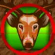 Icon of program: Animal Hunter Games on De…