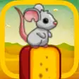 Icon of program: The mouse cheese