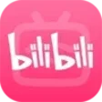 Icon of program: bilibili