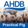Icon of program: Practical Pig