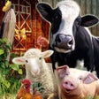 Icon of program: Farm World Mobile