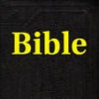 Icon of program: Holy Bible (New English T…