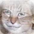 Icon of program: x2yMorph
