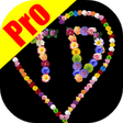 Icono de programa: Draw by flowers Pro