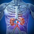 Icon of program: Human Anatomy 2017 for Wi…