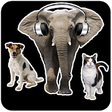 Icono de programa: Animal Sounds