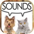 Icon of program: Sonidos de perros y gatos