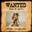 Icon of program: Wanted Photo Frame