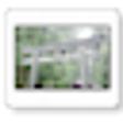 Icono de programa: Footagehead