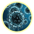 Icono de programa: Microbiology