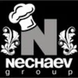 Icon of program: Nechaev Group