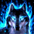Icon of program: Amazing Wolf Wallpapers