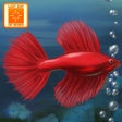 Icon of program: Fish Tycoon