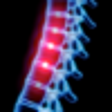Icon of program: OrthoRef for Windows 8