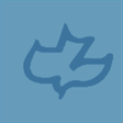 Icon of program: CCTV for Windows 10