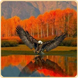 Icon of program: Jigsaw Puzzles Free