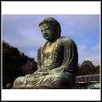 Icono de programa: Buddhism Pocket Guide and…