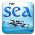 Icon of program: The SEA App