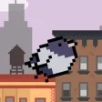 Icon of program: The Fattest Bird in Brook…