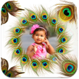 Icono de programa: Peacock Feather Photo Fra…