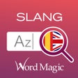 Icon of program: English Spanish Slang Dic…