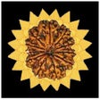 Icono de programa: Rudraksh And Sun Signs