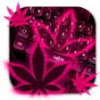 Icon of program: Weed Rasta Pink Keyboard …