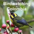 Icon of program: Birdwatching in Colombia
