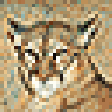 Icono de programa: Big Cats Screensaver