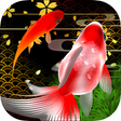 Icon of program: 桜金魚すくい