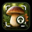 Icon of program: Mushroom Identifier - Fre…