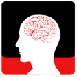 Icono de programa: Brain Power Leitner Box