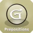 Icon of program: Grammar Express: Preposit…