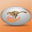 Icon of program: Free State Cheetahs Rugby