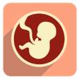 Icon of program: Pregnancy App : childbirt…