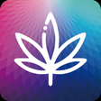 myLumii icon