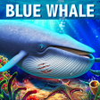 Icono de programa: Blue Whale Simulator - De…