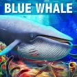 Icon of program: Blue Whale Simulator - De…