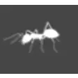Icon of program: Falafel Bugs for Windows …