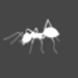 Icon of program: Falafel Bugs for Windows …