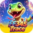 Icono de programa: FF345Trace
