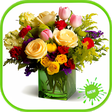 Icono de programa: Bouquet of flowers
