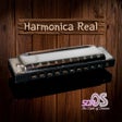 Icon of program: Harmonica Real Pro