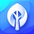 Icon of program: Wallpaper Tree: 4K Wallpa…
