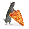 Icon of program: Pizza Rats
